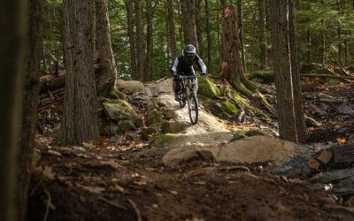 Late Fall Hours Have Begun