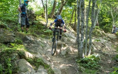 Riding Fundamentals Video Series | Highland Camps