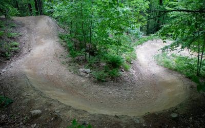 Park Report: June 2020