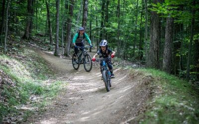 Park Report | July 2020