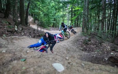 Park Report | August 2020