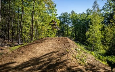 Park Report: September 2020