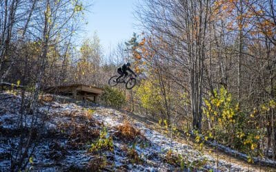 Park Report | November 2020