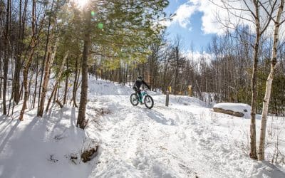 Park Report | February 2021