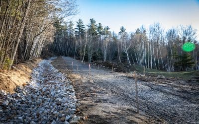 Park Report | December 2021