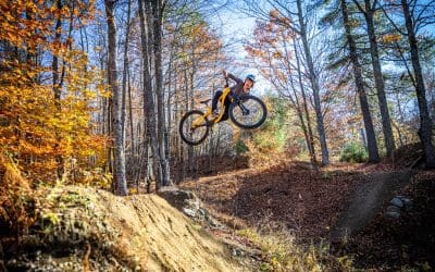 Park Report | November 2022