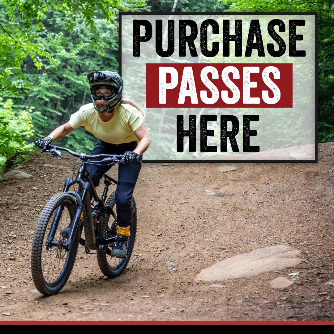 purchase passes here